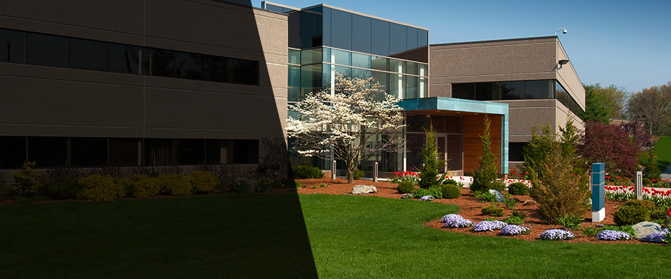 Ludington Landscapers