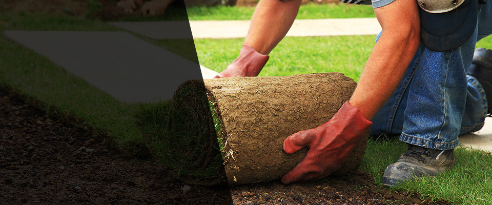 Ludington Landscapers